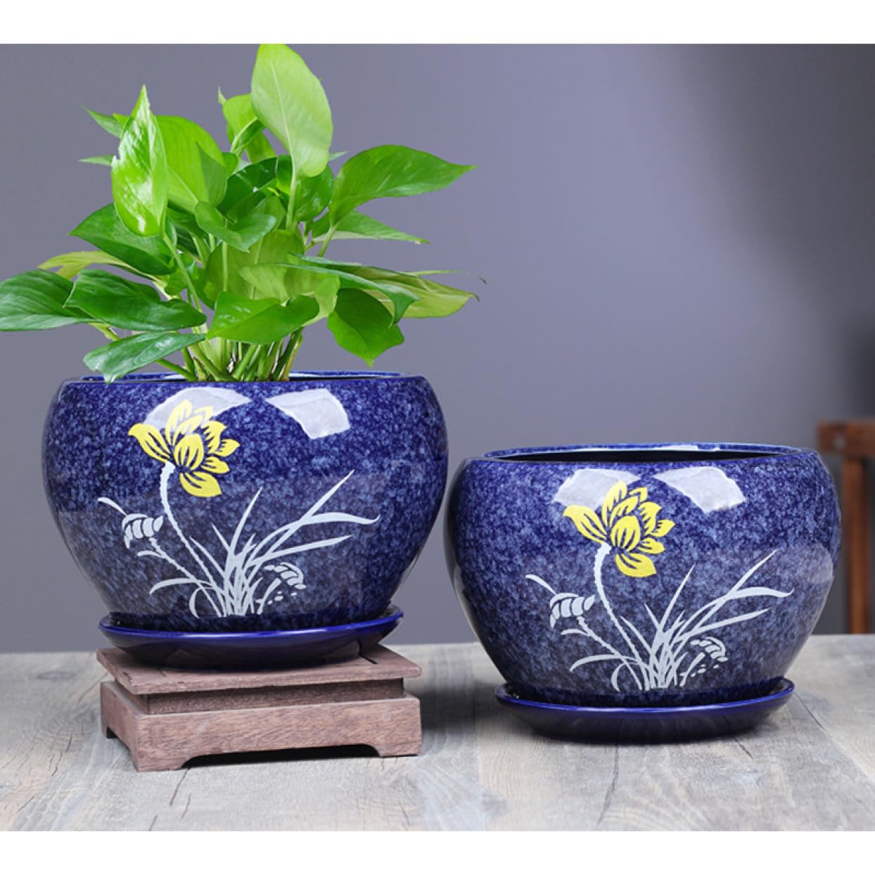 Amazon.co.jp: 植木鉢 通気性がよい 園芸鉢 プランター 2個セット